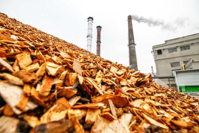 Biocombustíveis são produzidos por meio da queima de produtos da biomassa, como plantas e madeiras.*
