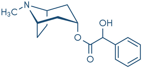 Atropina é um alcaloide tóxico extraído da planta denominada Atropa belladonna.