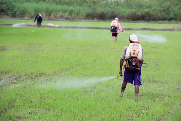 Ao utilizar agrotóxicos sem a devida proteção, o trabalhador rural coloca em risco sua saúde