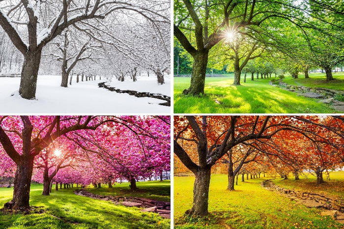 As estações do ano representam quatro diferentes períodos ao longo de um ano.